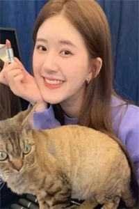 呕心沥血帮他考上了985，开学前我却被踹了全集
