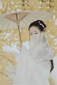 怜星难照无眠最新章节列表