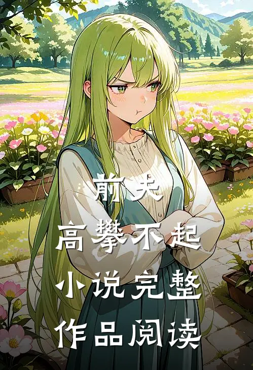 前夫,高攀不起 小说完整作品阅读