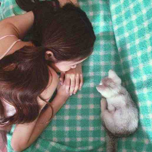 疯批帝王的娇娇表妹完结