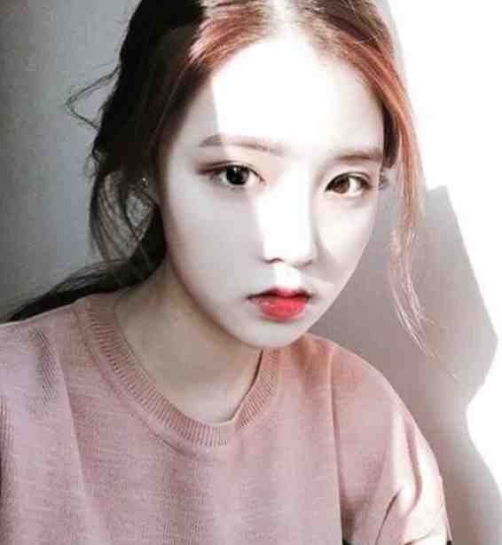 弟弟的交换生名额被人抢走后，我身份曝光了陆明月陆清晏前文+后续