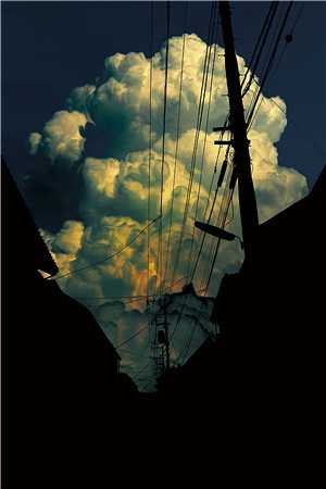 救命！清冷王爷黑化后不放手​​已完结版