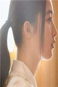 晚风与你皆温柔人气小说