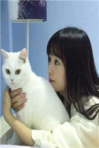 你慕冬雪我慕春朝免费