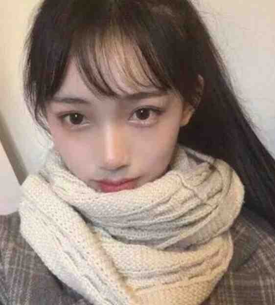 风停后无人归完整版