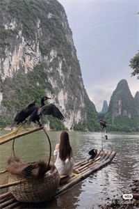 独占首富家产，从整治恶毒真千金开始沈雅兰沈乐仪无删减全文