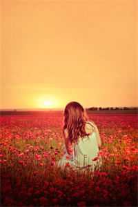 男友为我坐牢，出狱后我插翅难逃最新章节列表