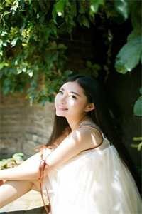 那年风月再无影火爆小说