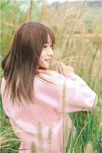 梨花落尽，云散夜未明无删减