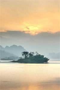 七旬老太带飞全村，子孙们快回家刘敬华林娇娇全文