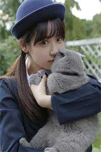 春风难覆桃花雪全新