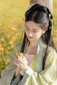 梨花落尽，云散夜未明畅读