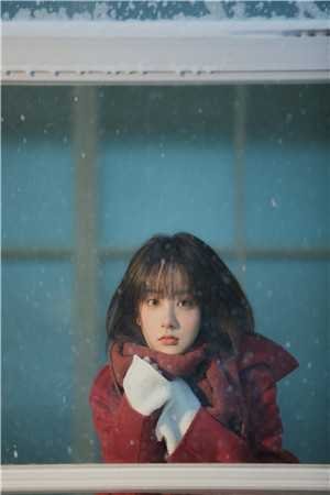 大婚当日九皇子要我给侍女磕头，太子一怒抢亲火爆小说