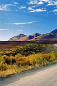 星光跌入他眼眸精彩