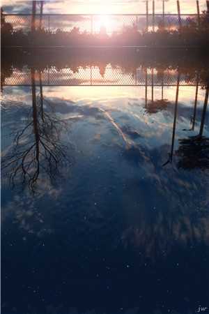 冬雪覆旧情章节