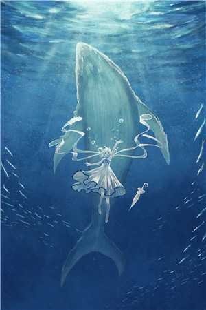 枯木逢春我逢你精彩