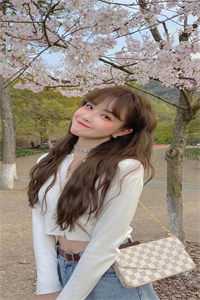 冬雪覆旧情后续