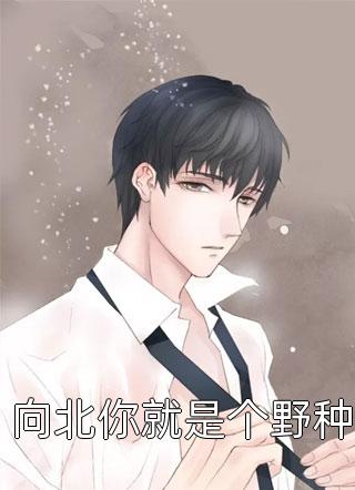 夏日沉于旷野全文免费