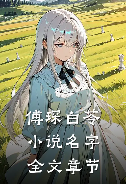 傅琛白苓小说名字全文章节