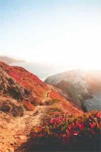 老婆多看男助理一眼，我直接离婚热门推荐