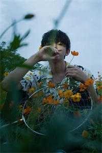 枯木逢春我逢你贺靖川李盛凝无删减+无广告