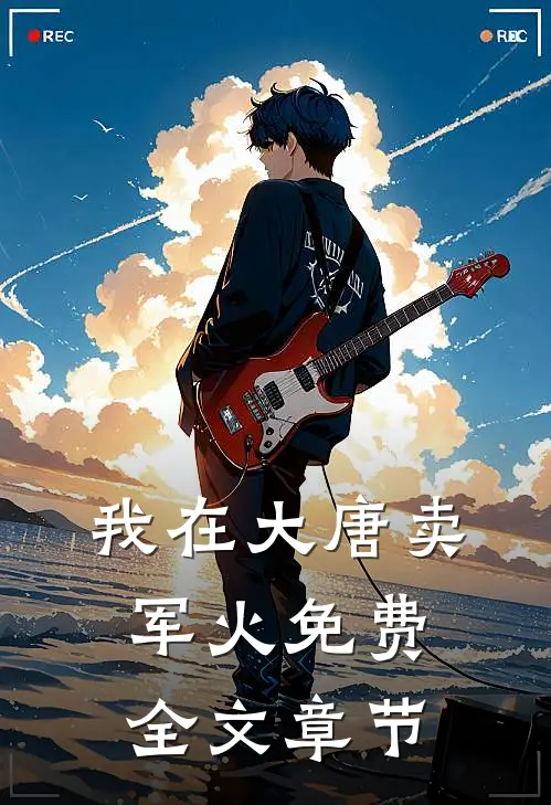 我在大唐卖军火免费全文章节