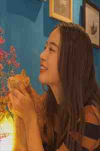 风过不提旧人名的小说