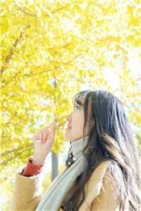 爱雾散尽后续+无弹窗