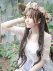 春野不知乔木深林乔陆执野全文+免费