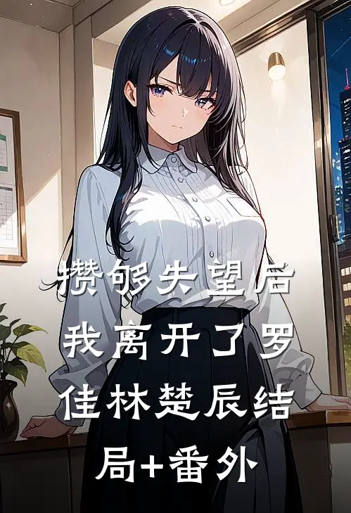攒够失望后，我离开了罗佳林楚辰结局+番外