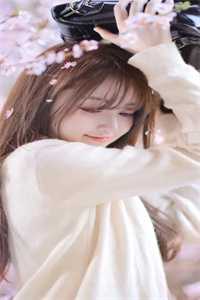 风卷帘处无故人免费阅读全文