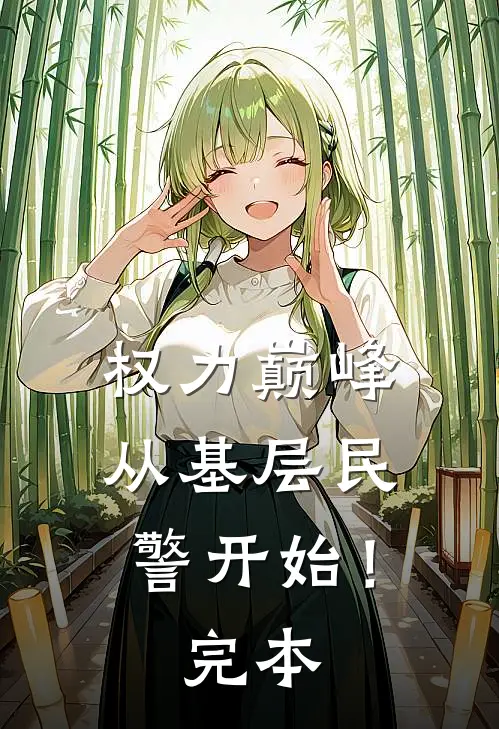 权力巅峰从基层民警开始!完本