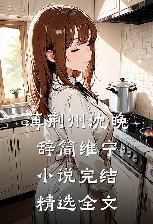薄荆州沈晚辞简维宁小说完结精选全文