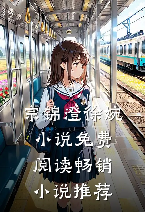 宗锦澄徐婉小说免费阅读畅销小说推荐