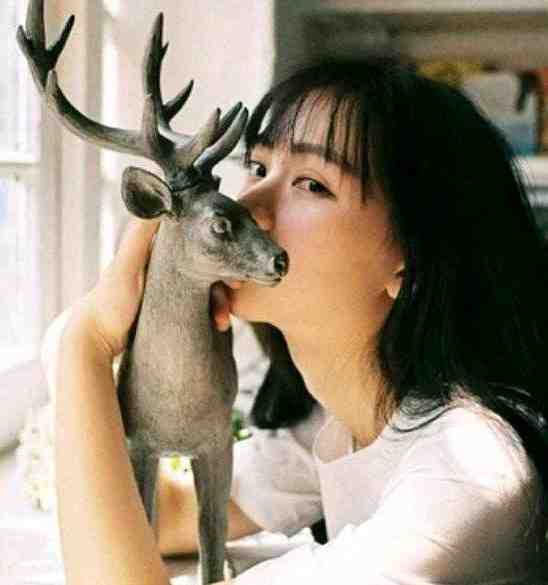 明月清如许，不曾照归人小说全文免费