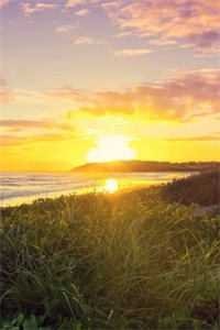 老公为了小青梅害死父母，得知真相后悔疯了全文+免费