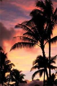 闺蜜给我给一百生活费，让我给她养女儿精品篇