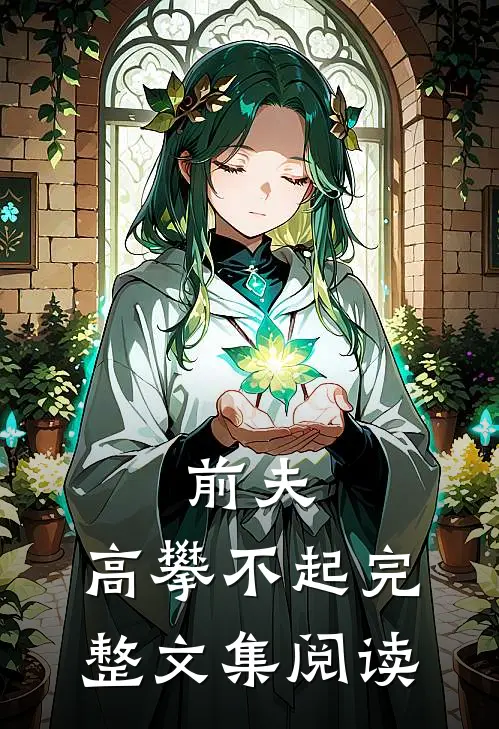 前夫 ,高攀不起完整文集阅读