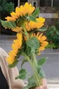 想复婚？没门！权贵大佬红了眼全本小说推荐