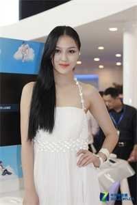 忽闻秋风起，送君永不归在线阅读全本阅读