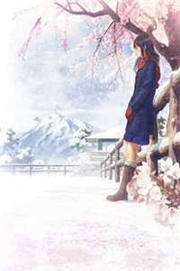 静待佳音爆款宝藏