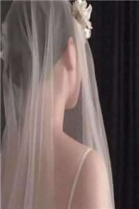 可曾许我昭昭许昭陆宴辞无删减全文