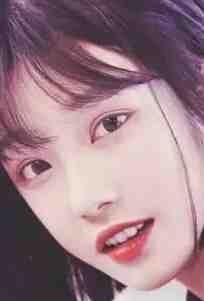 枯木逢春我逢你贺靖川李盛凝小说