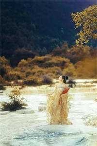 末世穿八零藏族，撞上顶级修罗场小说全文免费