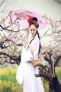 爱恨迟暮一叶秋畅销巨著