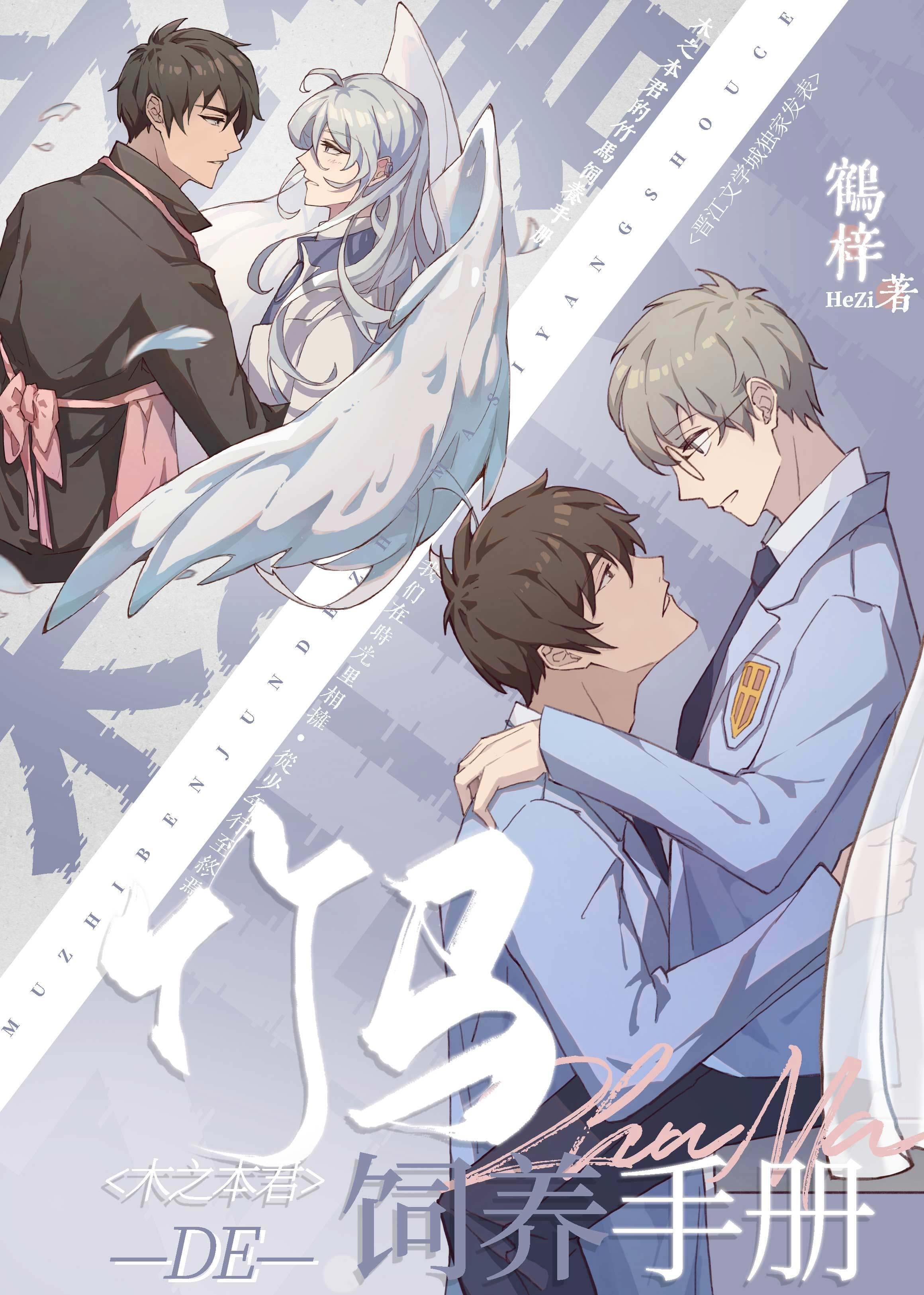 她曾把光藏入怀免费大结局