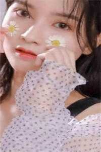 重生恰遇花满途无广告
