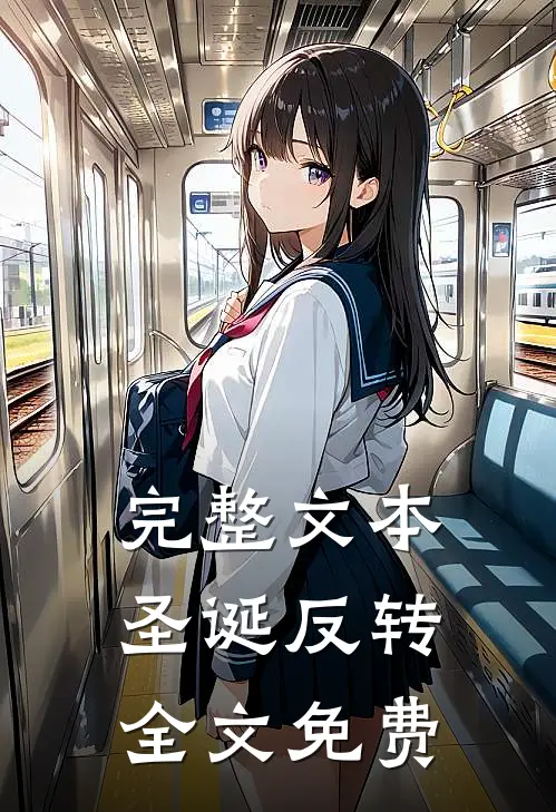 完整文本圣诞反转全文免费
