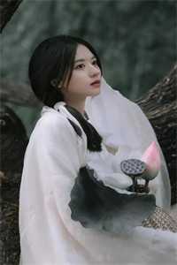 怜星难照无眠目录