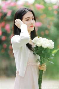 别卷了，败家才是我的主业好看的小说推荐完结